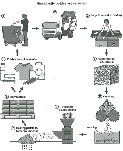 the process for recycling plastic bottles